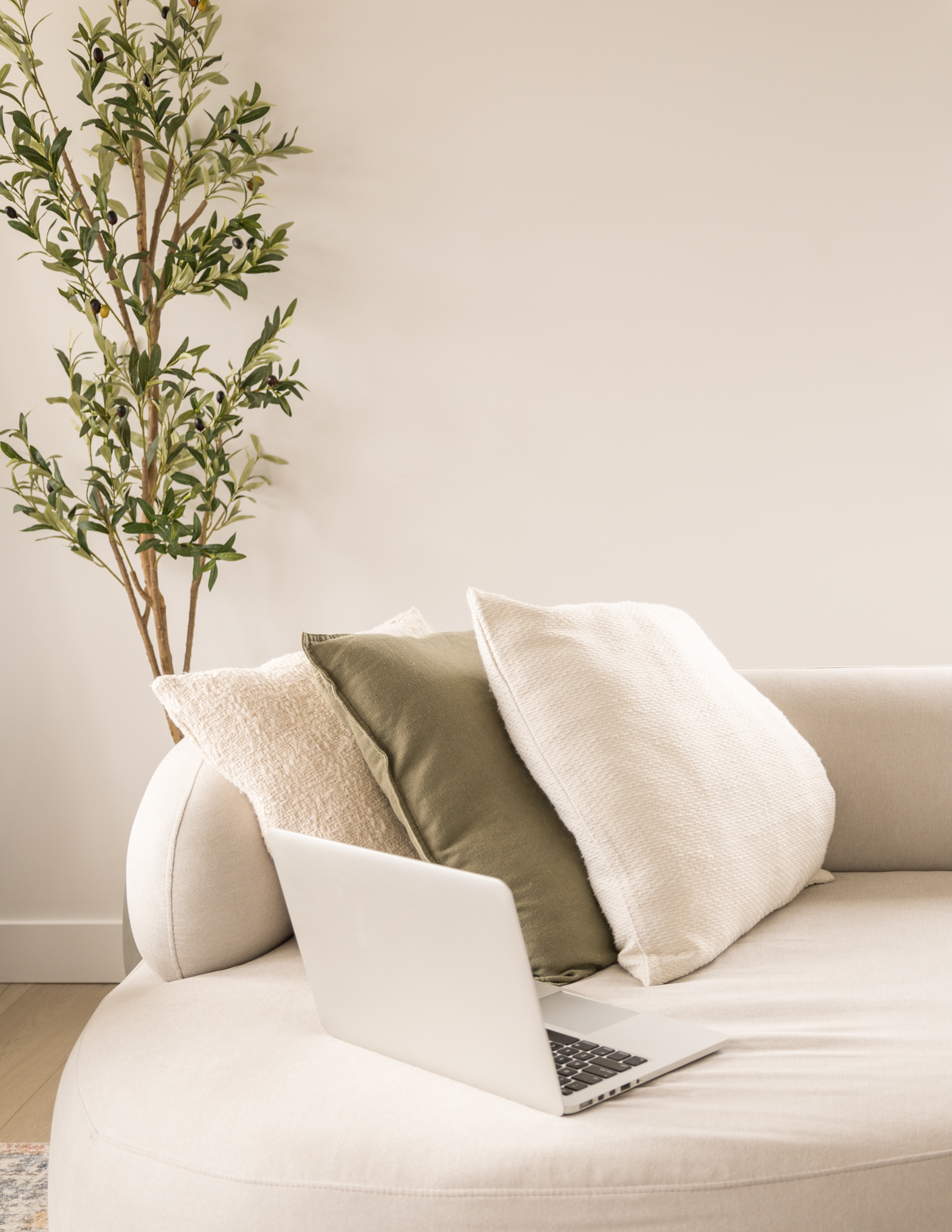 soft neutral couch with laptop on top